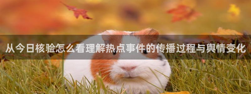 51吃瓜网网址:从今日核验怎么看理解热点事件的传播过程与舆情变化