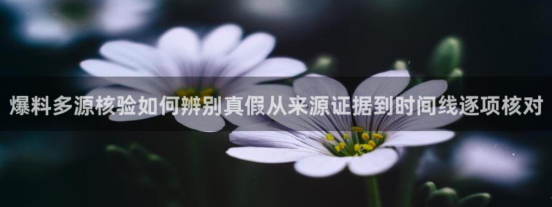 51吃瓜网网站:爆料多源核验如何辨别真假从来源证据到时间线逐项核对