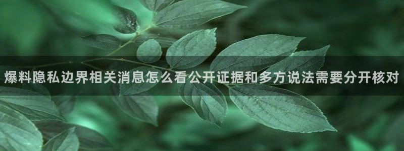 51吃瓜在线视频:爆料隐私边界相关消息怎么看公开证据和多方说法需要分开核对
