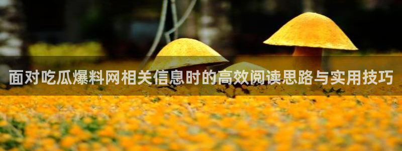 吃瓜网爆料:面对吃瓜爆料网相关信息时的高效阅读思路与实用技巧