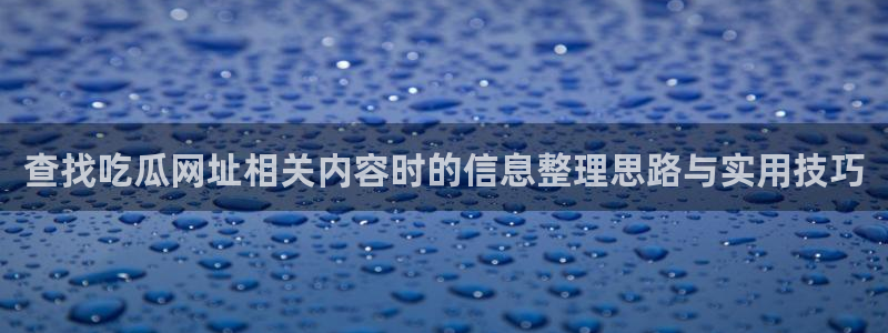 九一吃瓜:查找吃瓜网址相关内容时的信息整理思路与实用技巧